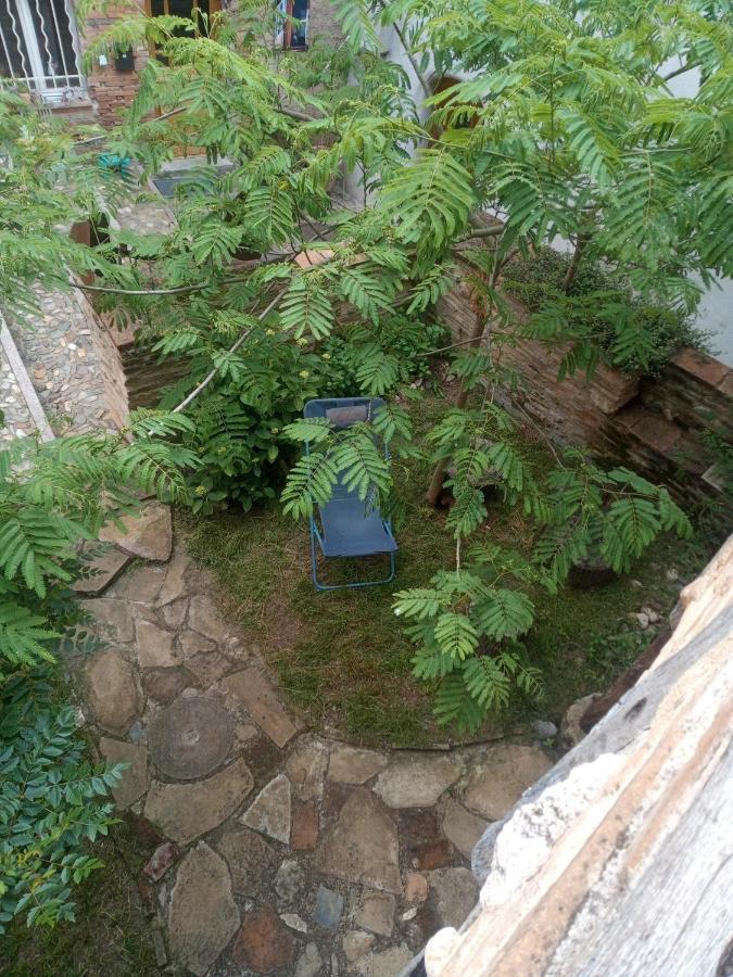 La Lauze Et L'Anguille Bed & Breakfast Gaillac Ngoại thất bức ảnh