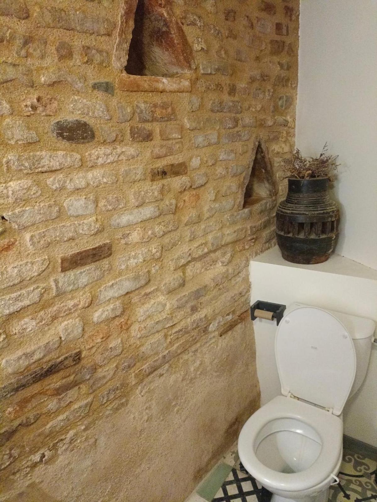 La Lauze Et L'Anguille Bed & Breakfast Gaillac Ngoại thất bức ảnh