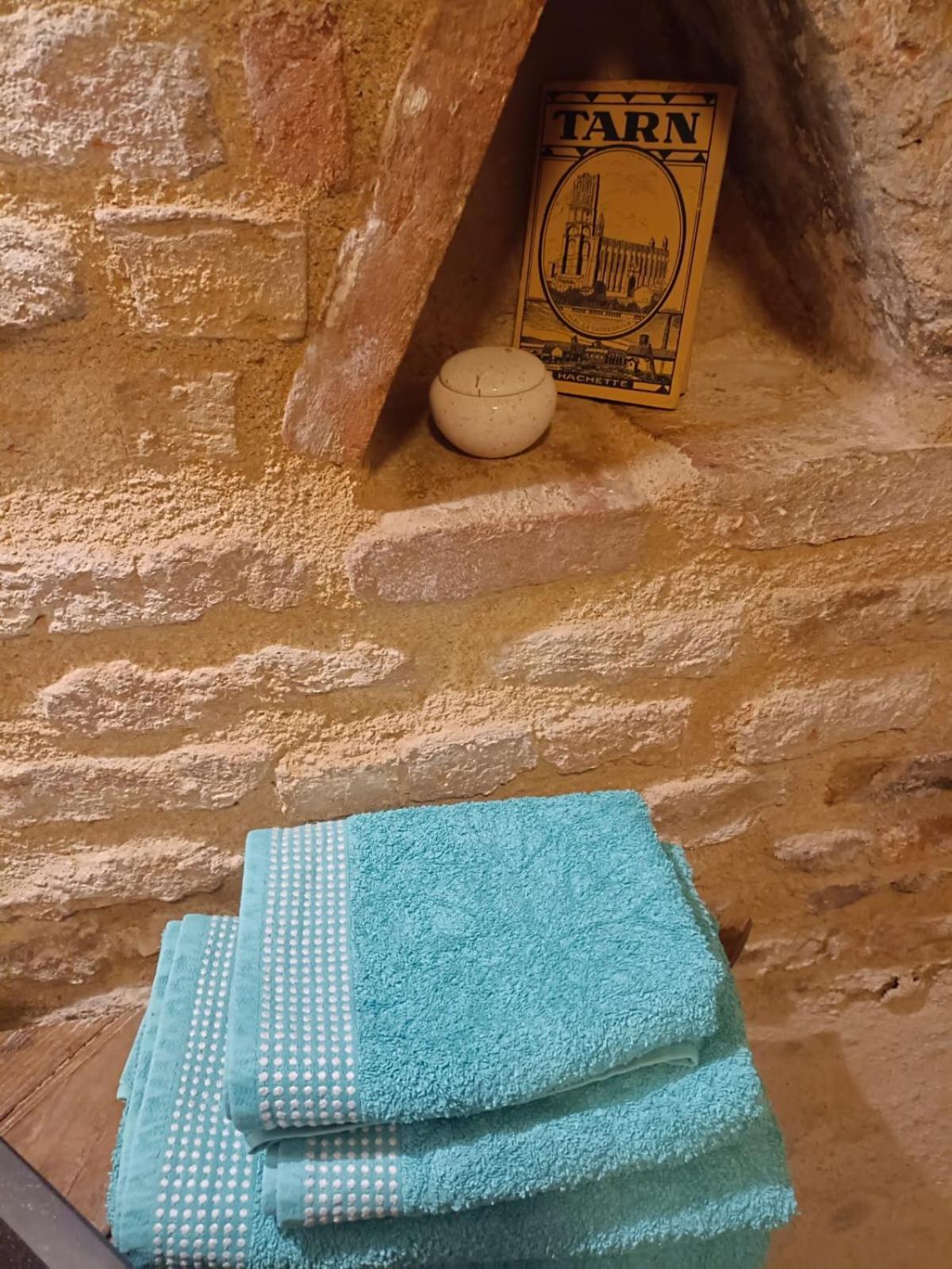 La Lauze Et L'Anguille Bed & Breakfast Gaillac Ngoại thất bức ảnh
