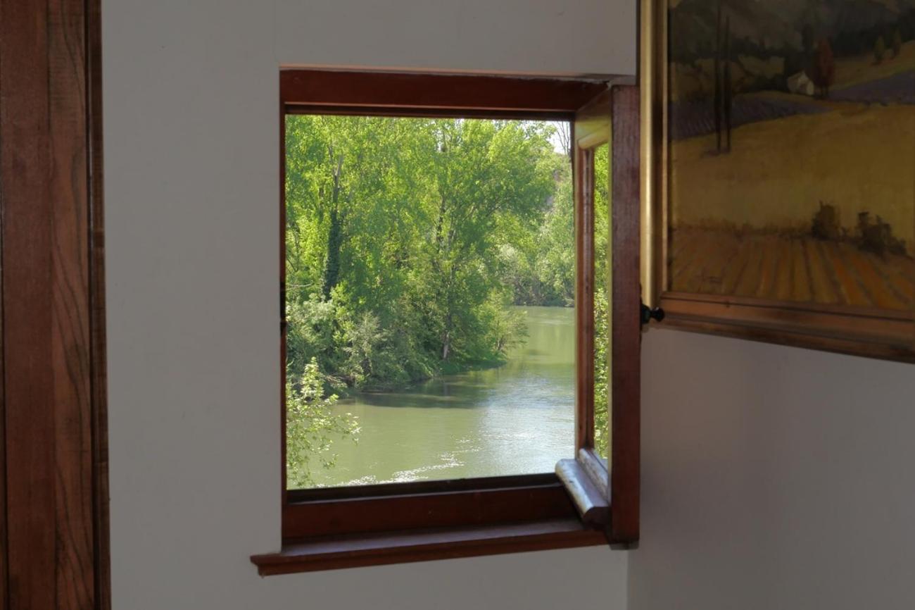 La Lauze Et L'Anguille Bed & Breakfast Gaillac Ngoại thất bức ảnh
